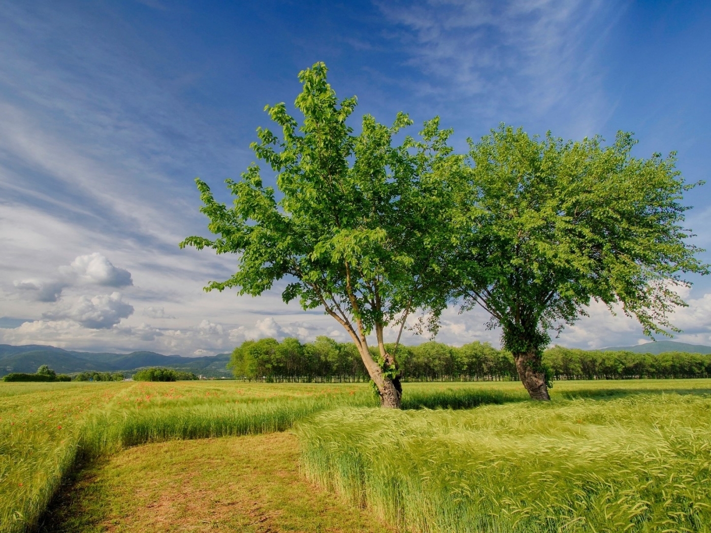 Verra's Scope 3 Standard Gives Value-Chain Emissions a Real Instrument