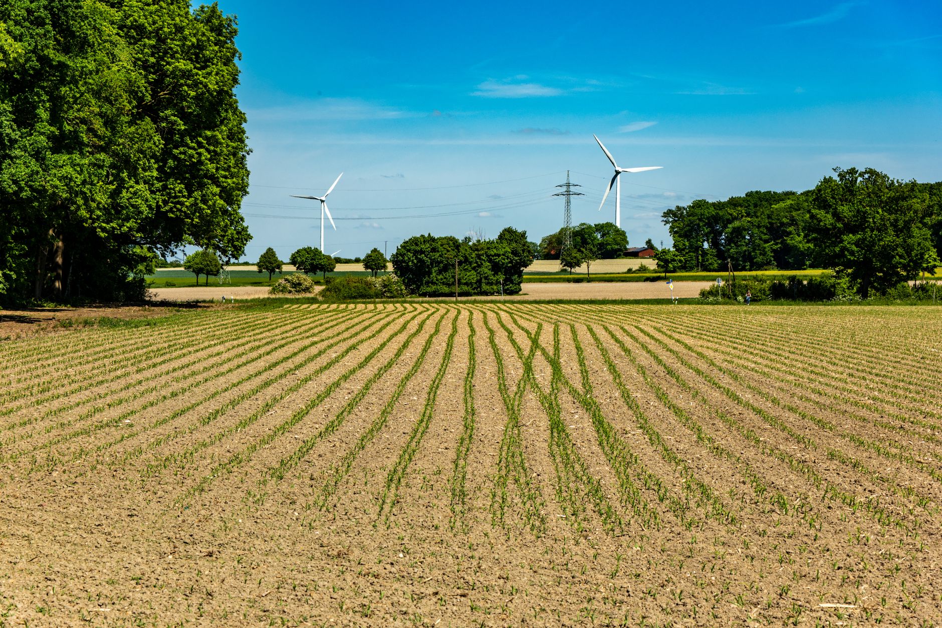 PepsiCo Jumps into Regen Ag